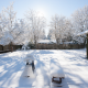 How winter changes your backyard and how to keep it alive.